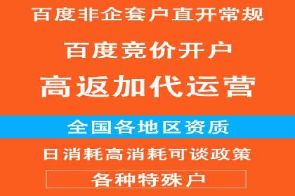 百度推广实战案例：成功之路